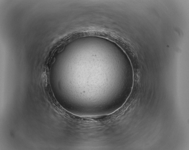 X0000111921493200908031153