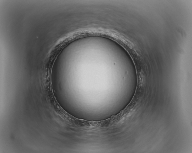 X0000111921494200908031153