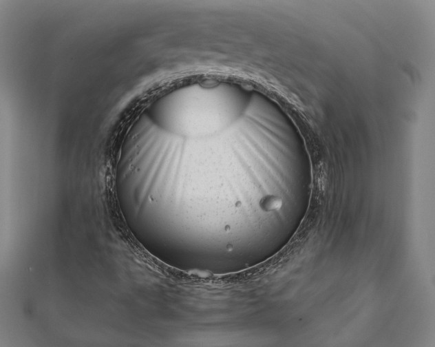 X0000111921495200908031153
