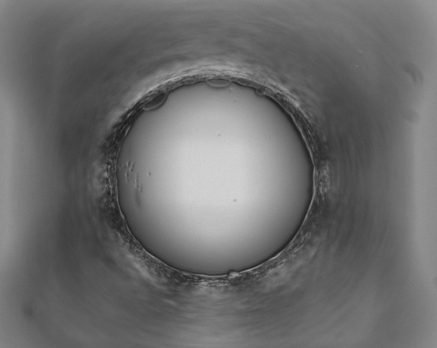 X0000111921496200908031153