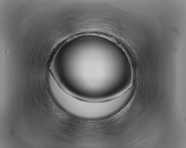 X0000111921497200908031153