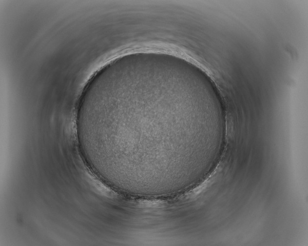 X0000111921498200908031153