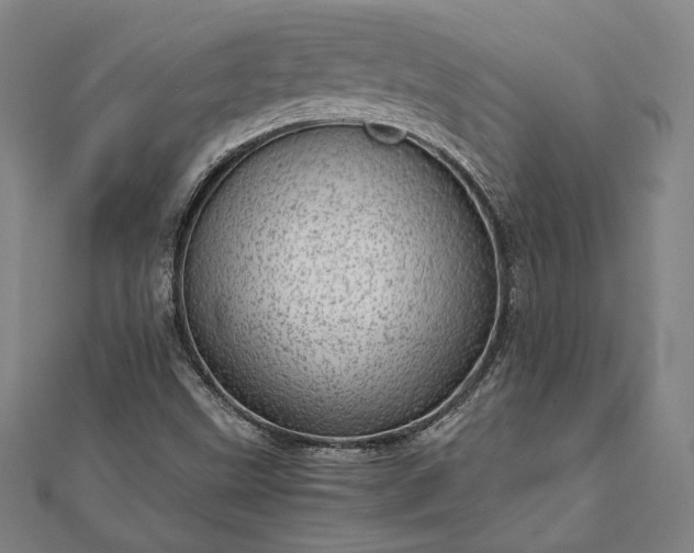 X0000111921499200908031154