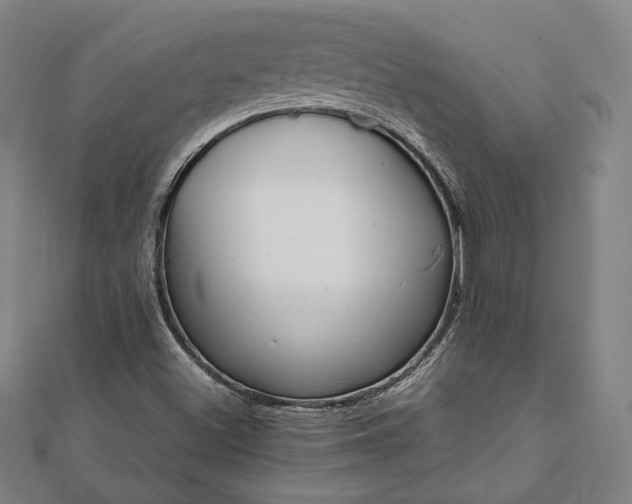 X0000111921500200908031154
