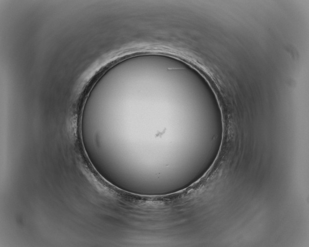 X0000111921503200908031154