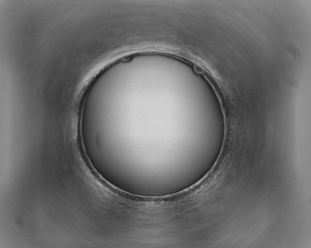 X0000111921504200908031154