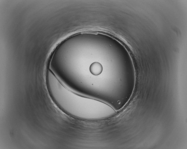 X0000111921508200908031154