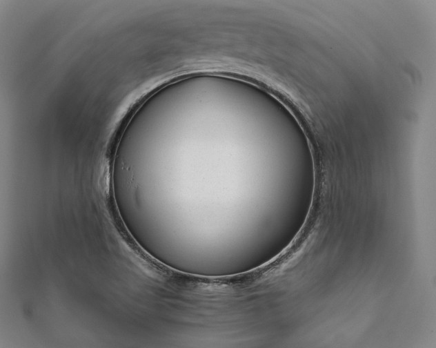 X0000111921509200908031154