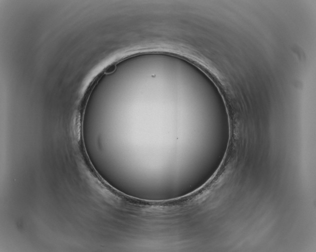 X0000111921510200908031154