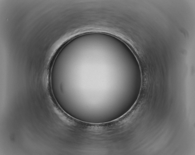 X0000111921511200908031154