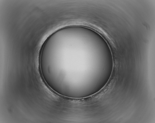 X0000111921512200908031154