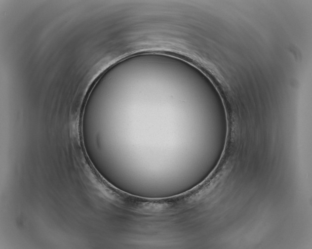 X0000111921513200908031154