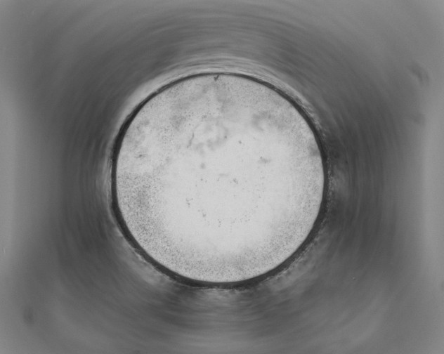 X0000111921514200908031154