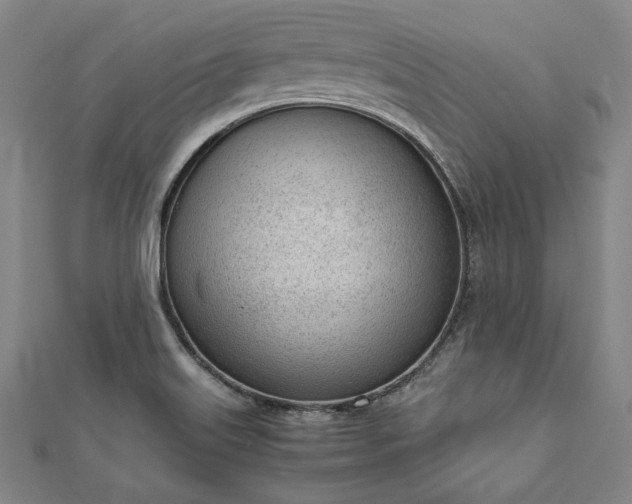 X0000111921515200908031154