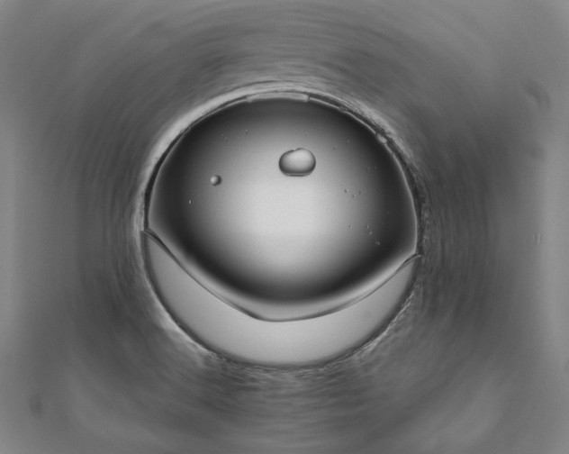 X0000111921516200908031154