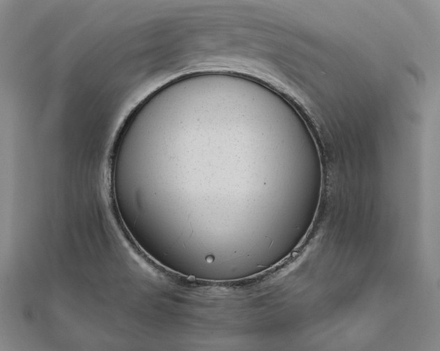 X0000111921517200908031154