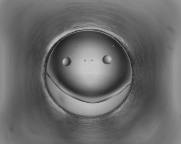 X0000111921518200908031154