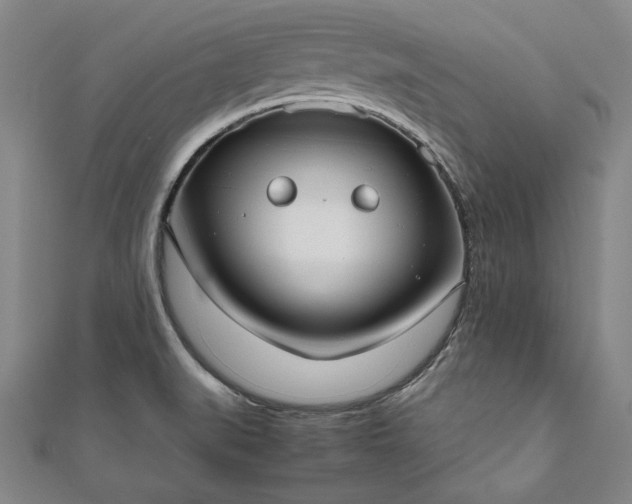 X0000111921519200908031154