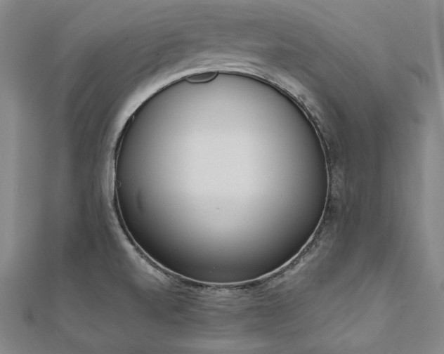 X0000111921520200908031154