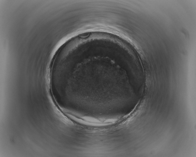 X0000111921522200908031154