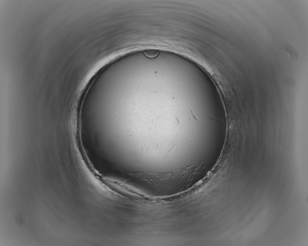 X0000111921523200908031154