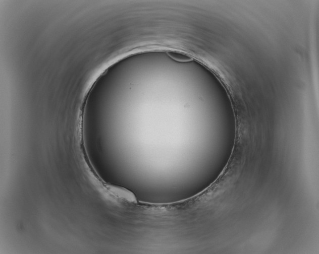 X0000111921524200908031154
