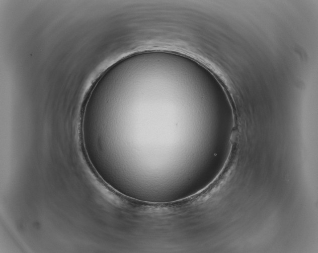 X0000111921525200908031154