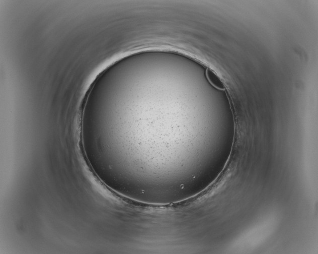X0000111921526200908031154