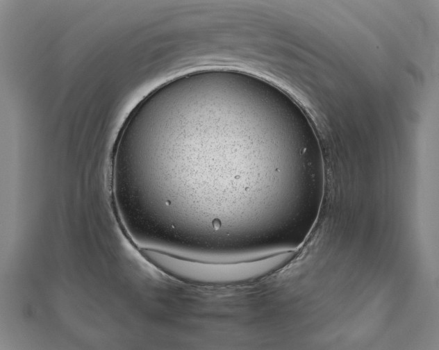 X0000111921527200908031154