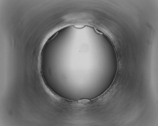X0000111921528200908031154