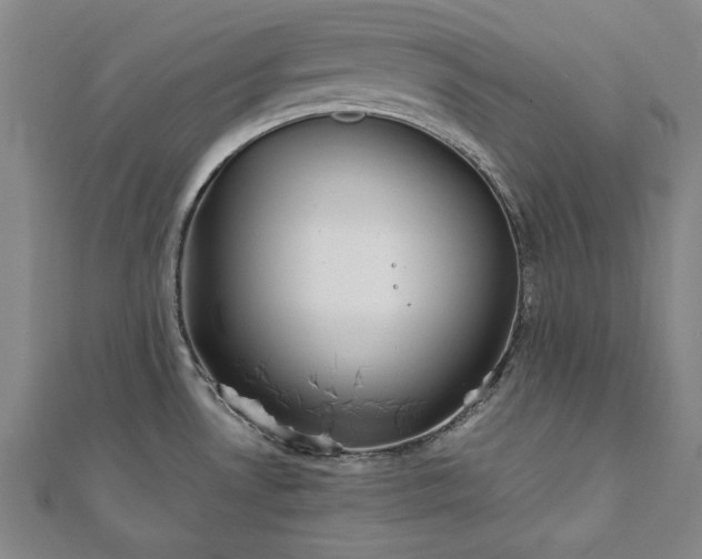 X0000111921530200908031154