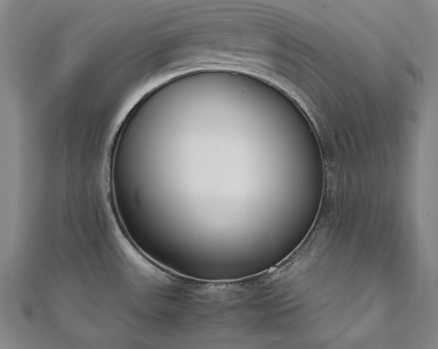 X0000111921531200908031154