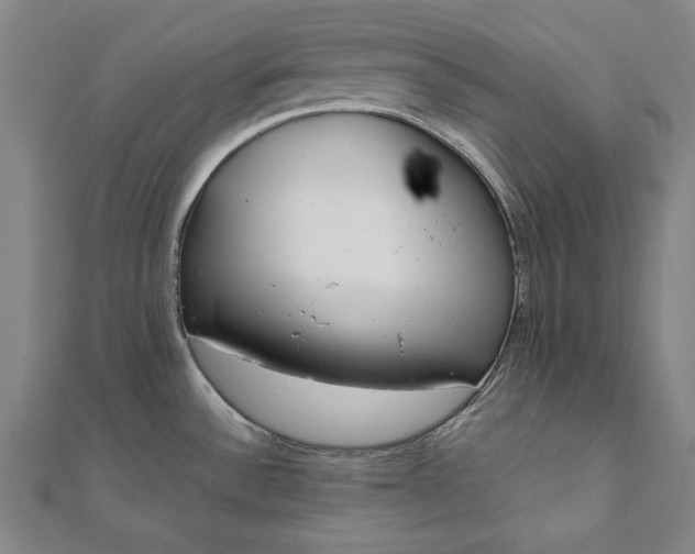 X0000111921532200908031154