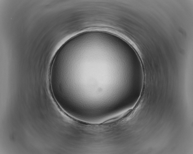 X0000111921533200908031154