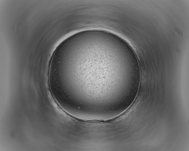 X0000111921534200908031154