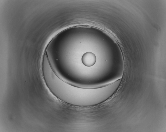 X0000111921536200908031154
