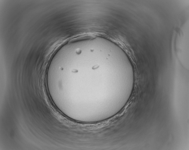 X0000111920001200908101231