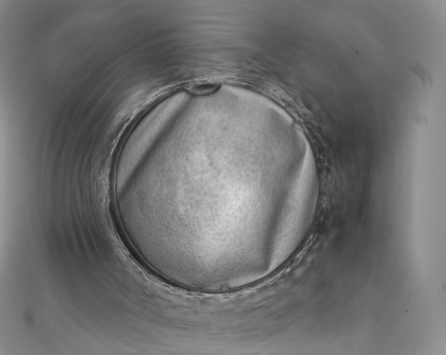 X0000111920002200908101231