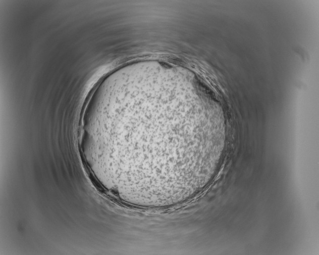 X0000111920003200908101231