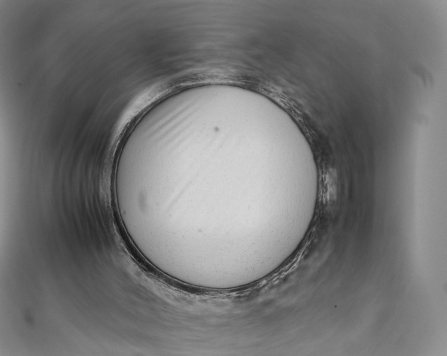 X0000111920004200908101231