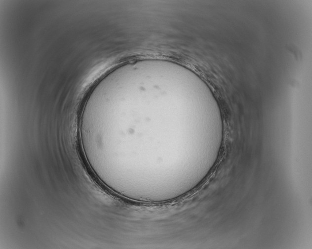 X0000111920005200908101231