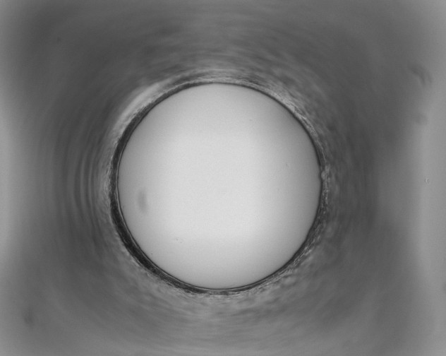 X0000111920007200908101231