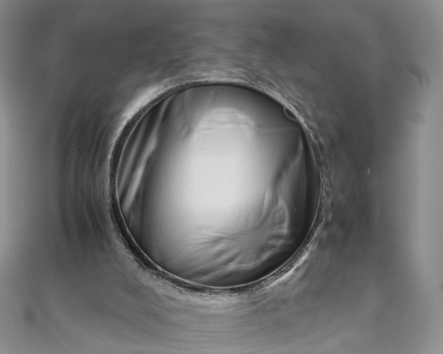 X0000111920008200908101231