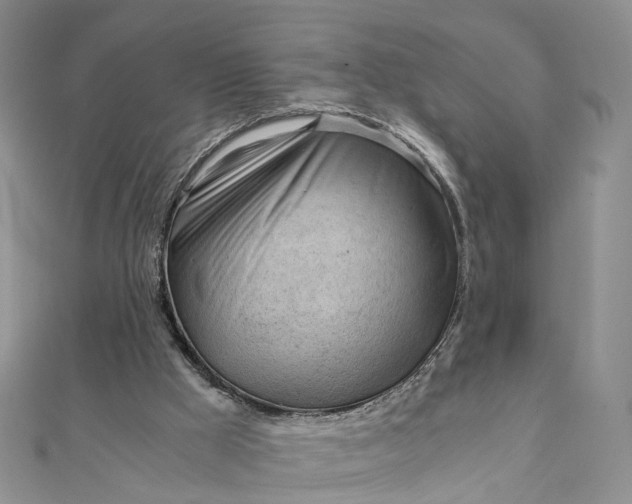 X0000111920009200908101231