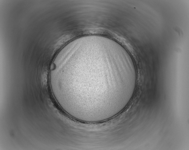 X0000111920010200908101231