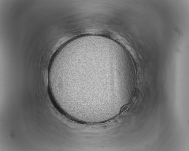 X0000111920011200908101231