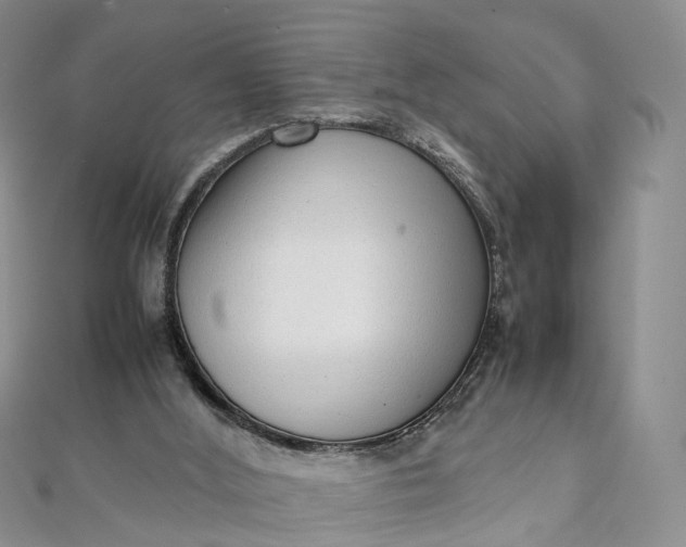 X0000111920012200908101230