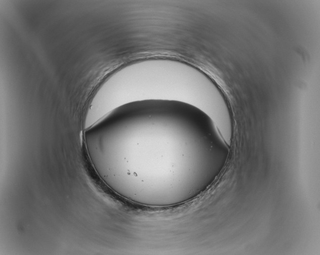 X0000111920013200908101230