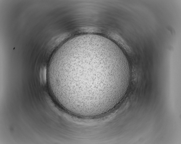 X0000111920014200908101230