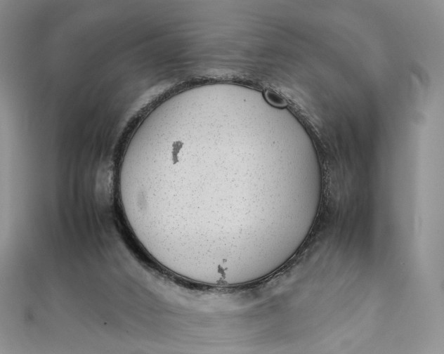 X0000111920016200908101230